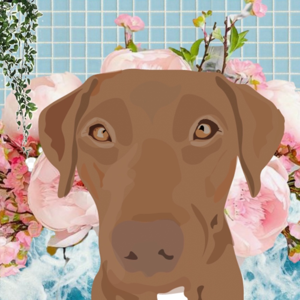 Meet your Posher, Helen